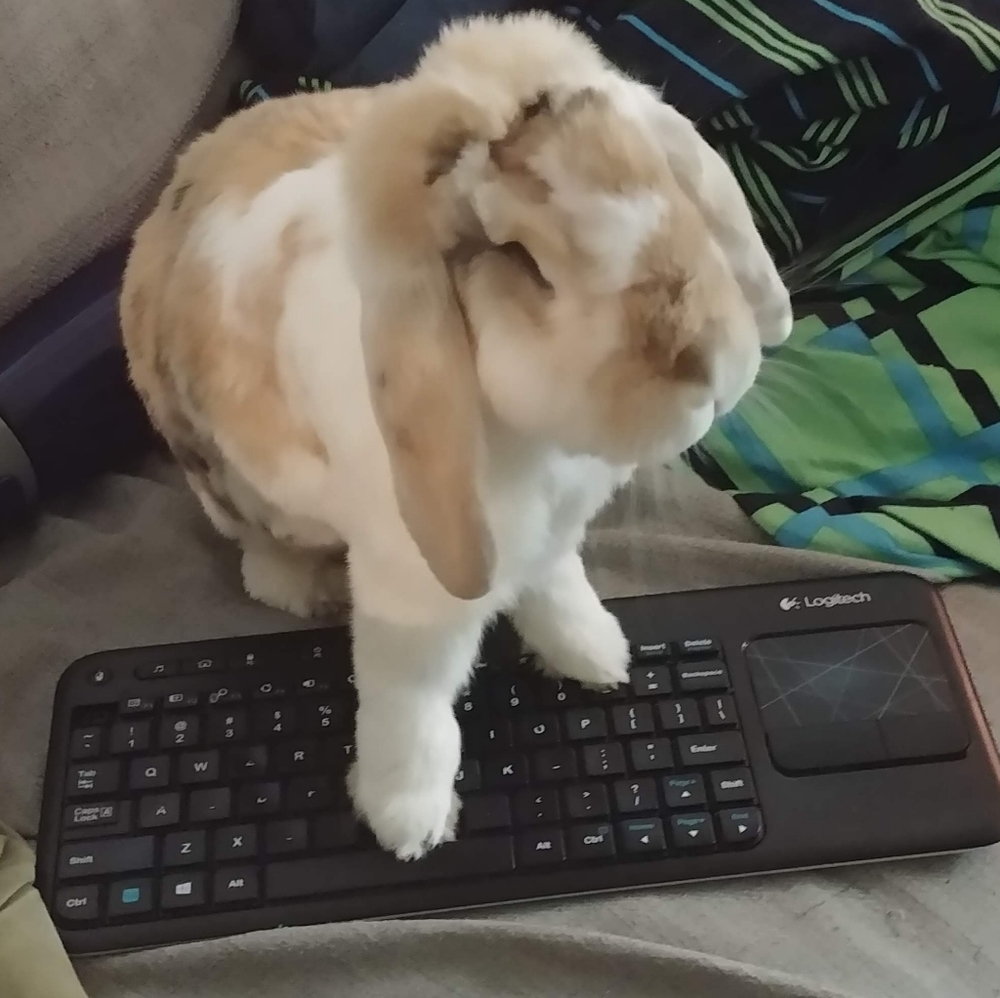 Family stuff, BRB ❤️